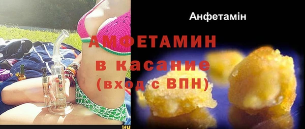 индика Богданович