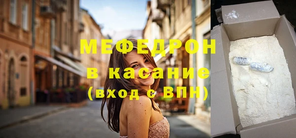 индика Богданович