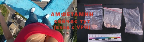индика Богданович