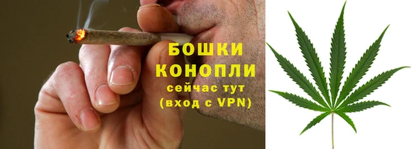 индика Богданович