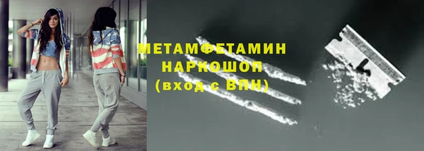 индика Богданович
