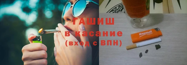 индика Богданович