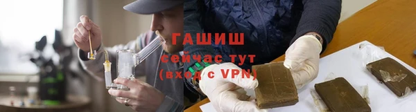 индика Богданович