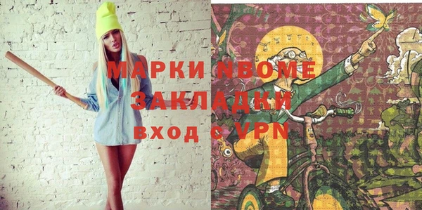 индика Богданович