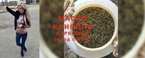 индика Богданович