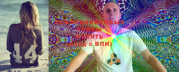 индика Богданович
